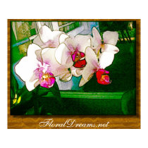Orchid Explosion Poster posters