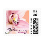Orchid • February Wedding Stamp