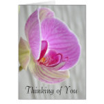 Orchid Floral Thinking of You Card