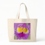 orchid, flowers, popular, flower, floral, flower