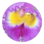 Orchid flower and meaning round stickers