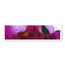 Orchid Flower bumper stickers