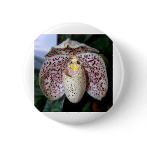 Orchid Flower buttons by naturelife Orchid Flower buttons