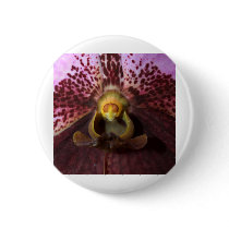 Orchid Flower buttons by naturelife Orchid Flower buttons