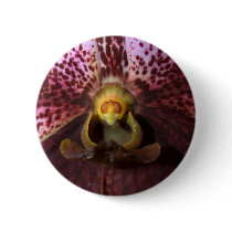 Orchid Flower buttons by naturelife Orchid Flower buttons
