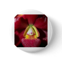 Orchid Flower buttons by naturelife Orchid Flower buttons