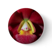 Orchid Flower buttons by naturelife Orchid Flower buttons