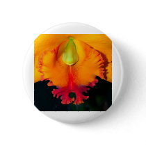Orchid Flower buttons by naturelife Orchid Flower buttons