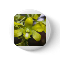 Orchid Flower buttons by naturelife Orchid Flower buttons