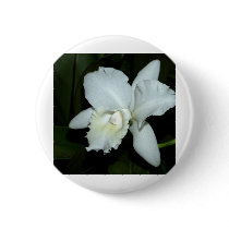Orchid Flower buttons by naturelife Orchid Flower buttons