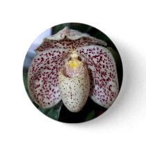 Orchid Flower buttons by naturelife Orchid Flower buttons