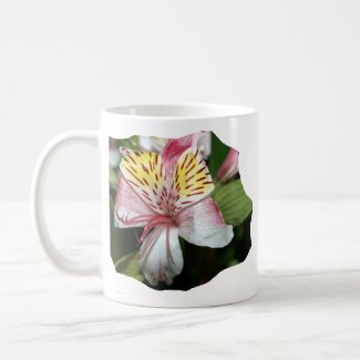 Orchid flower close up, pink white yellow photo mug