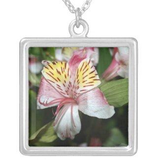 Orchid flower close up, pink white yellow photo necklace