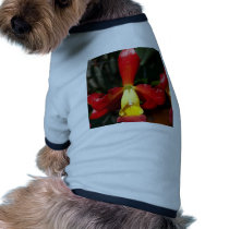 Orchid Flower pet clothing