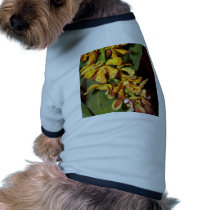 Orchid Flower pet clothing