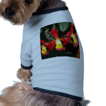 Orchid Flower pet clothing
