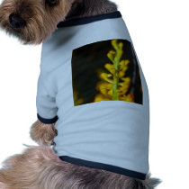 Orchid Flower pet clothing