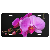Orchid Flower License Plate at Zazzle