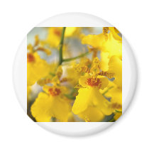 Orchid Flower magnets by naturelife Orchid Flower magnets