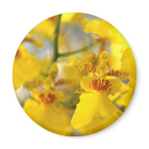 Orchid Flower magnets by naturelife Orchid Flower magnets