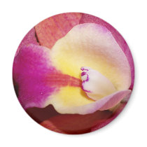 Orchid Flower magnets by naturelife Orchid Flower magnets