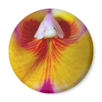 Orchid Flower magnets by naturelife Orchid Flower magnets