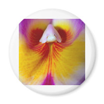 Orchid Flower magnets by naturelife Orchid Flower magnets