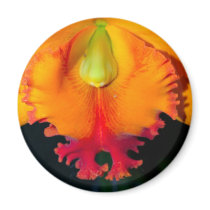 Orchid Flower magnets by naturelife Orchid Flower magnets