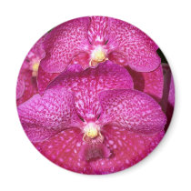 Orchid Flower magnets by naturelife Orchid Flower magnets