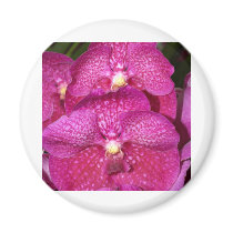 Orchid Flower magnets by naturelife Orchid Flower magnets