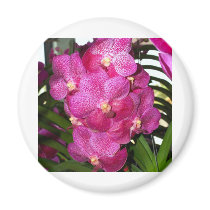 Orchid Flower magnets by naturelife Orchid Flower magnets