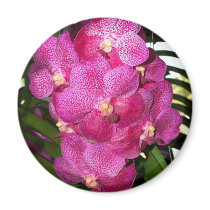 Orchid Flower magnets by naturelife Orchid Flower magnets
