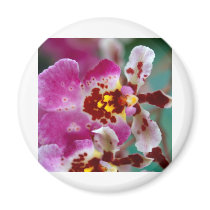 Orchid Flower magnets by naturelife Orchid Flower magnets