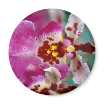 Orchid Flower magnets by naturelife Orchid Flower magnets