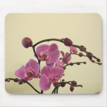 orchid flower mousepads