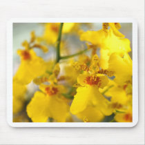 Orchid Flower mousepads