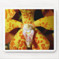 Orchid Flower mousepads