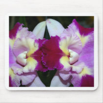 Orchid Flower mousepads