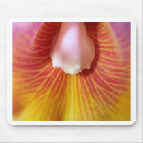 Orchid Flower mousepads