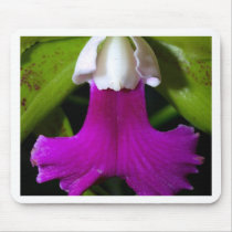 Orchid Flower mousepads