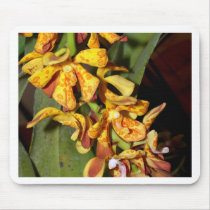 Orchid Flower mousepads