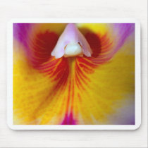 Orchid Flower mousepads
