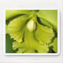 Orchid Flower mousepads
