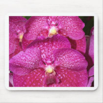 Orchid Flower mousepads