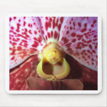 Orchid Flower mousepads