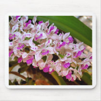 Orchid Flower mousepads