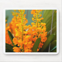 Orchid Flower mousepads