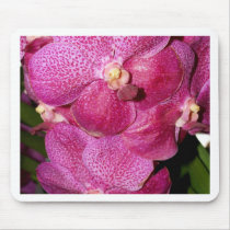 Orchid Flower mousepads