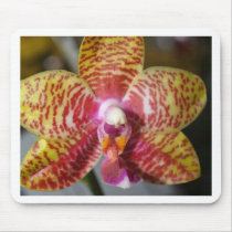 Orchid Flower mousepads