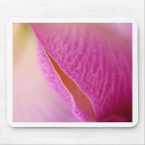 Orchid Flower mousepads